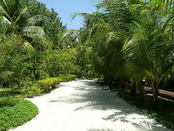 Maldives, South Male Atoll, Olhuveli Beach & Spa Resort